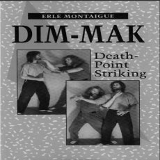Dim-mak_ Death Point Striking