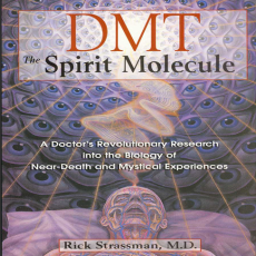 DMT_ The Spirit Molecule_ A Doctor_s Revolutionary Research into the Biology of Near-Death and Mystical Experiences